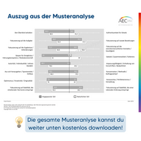 Thumbnail for AECdisc® – Potenzialanalyse inkl. Buch