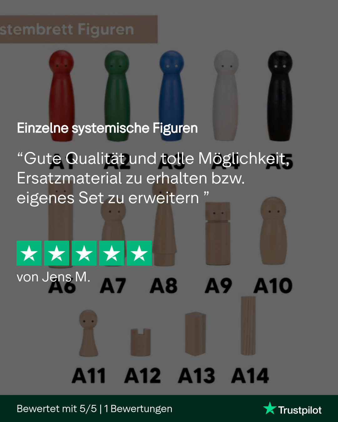 Figure sistemiche individuali