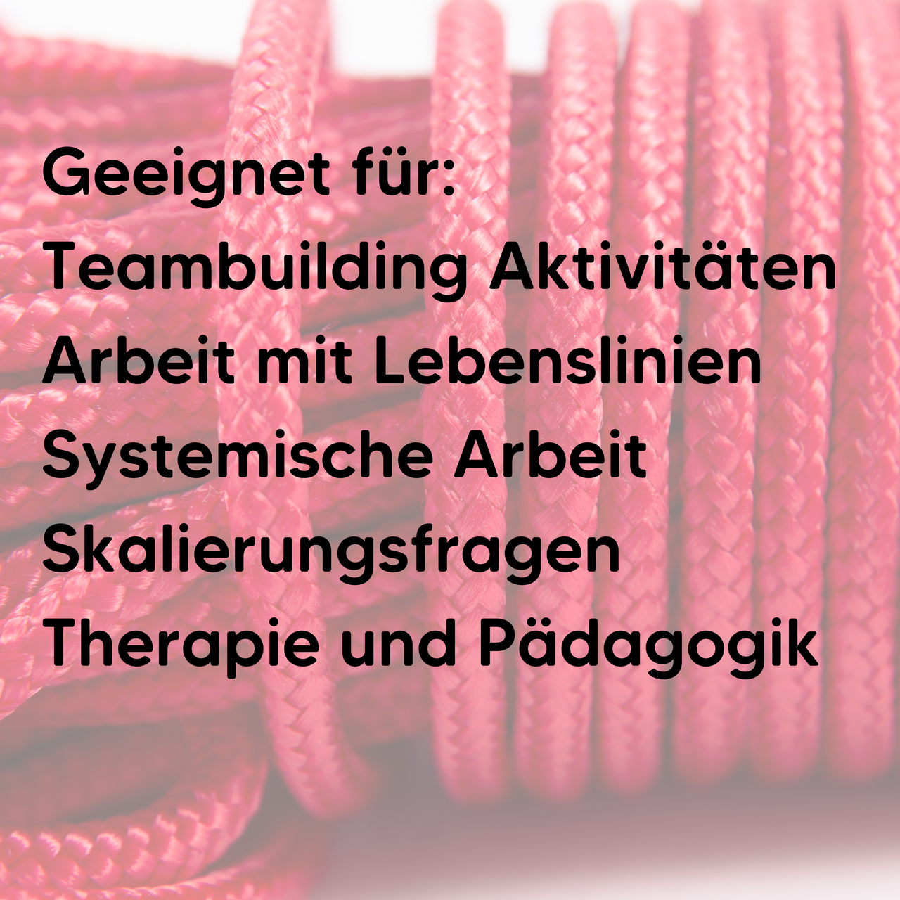 Rope - Therapy Rope - "Red Thread" 25m